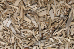 biomass boilers Vassa