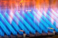Vassa gas fired boilers