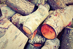 Vassa wood burning boiler costs